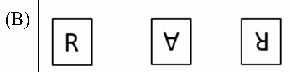 Option B diagram