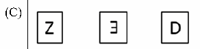 Option C diagram
