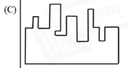 Option C diagram